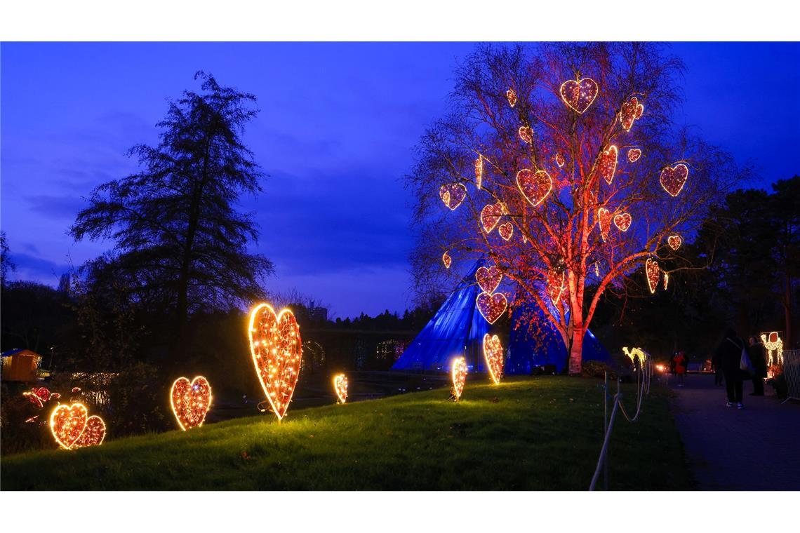 Viele bunte Lichter zu Weihnachten: Besucher sind im "Christmas Garden" im Loki-Schmidt-Garten in Hamburg unterwegs.