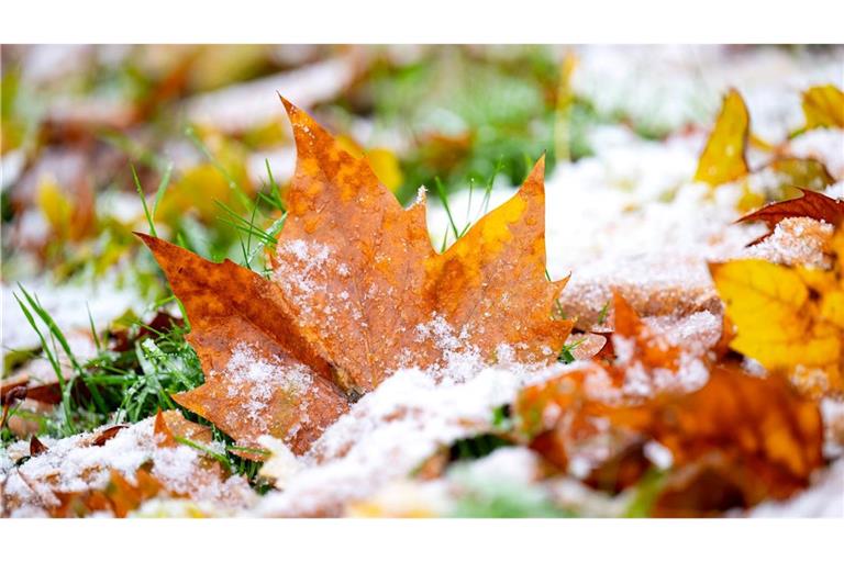 Vielerorts hielten sich die bunten Blätter auch noch im November an den Bäumen. Nun zerrt der Sturm sie herunter.