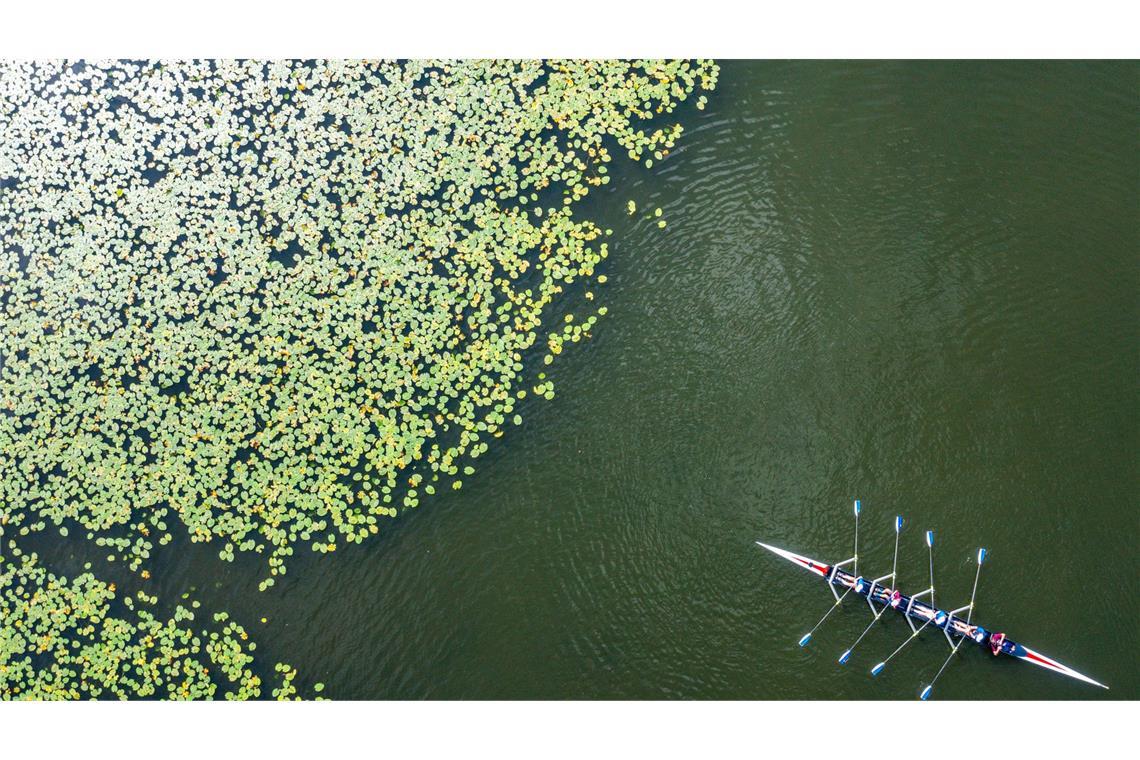 Vierer auf Rundfahrt: Mitglieder der Schweriner Rudergesellschaft starten aus Anlass des 150-jährigen Bestehens ihres Sportvereins  auf dem Schweriner See.