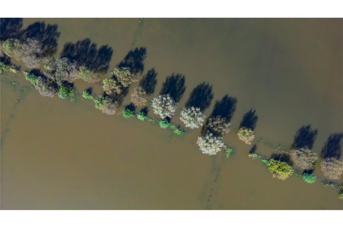 Vom Hochwasser des Flusses Oder im September waren auch Wiesen vor der Stadt Frankfurt (Oder) überflutet. (Archivbild)