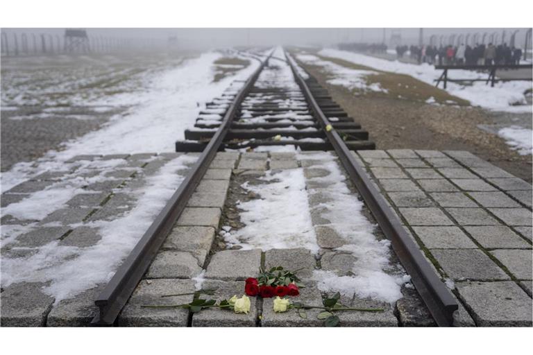 Von Besuchern zurückgelassene Rosen liegen in der Nähe der Eisenbahnschienen, die einst für den Transport von Juden aus ganz Europa nach Auschwitz benutzt wurden, im ehemaligen deutschen Konzentrations- und Vernichtungslager der Nazis.