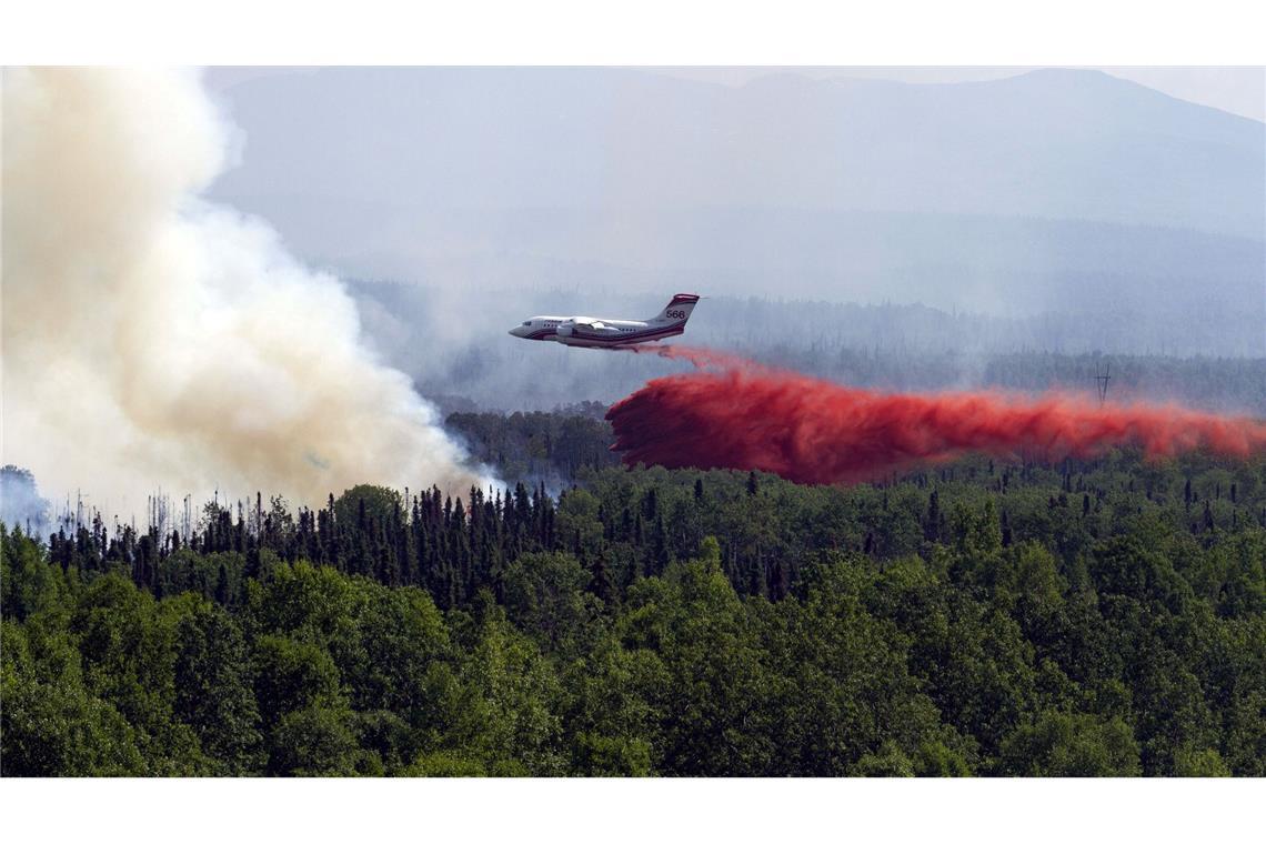 Waldbrände setzten 2023 zusätzlich CO2 frei (Archivbild)