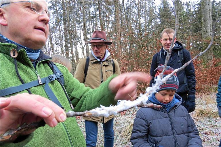 Walter Hieber hat einen Stock mit wunderschönen Eisformationen gefunden. „Feeneis“ entsteht, wenn Pilze auf beziehungsweise im Holz bei tiefen Temperaturen Gase abgeben. Fotos: Christine Schick