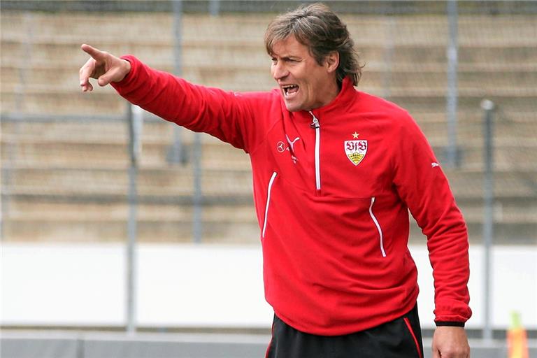 Walter Thomae hat als neuer Trainer der SG Sonnenhof Großaspach nun das Sagen. Foto: Imago