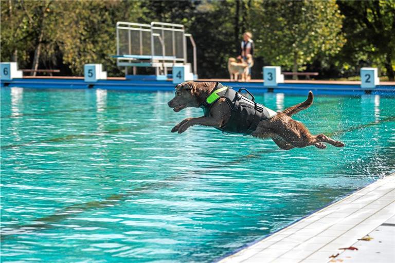 Wenn das mal kein sportlicher Auftritt ist. Fotos: Stefan Bossow