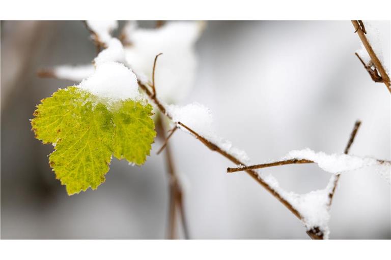 Wintereinbruch in Thüringen