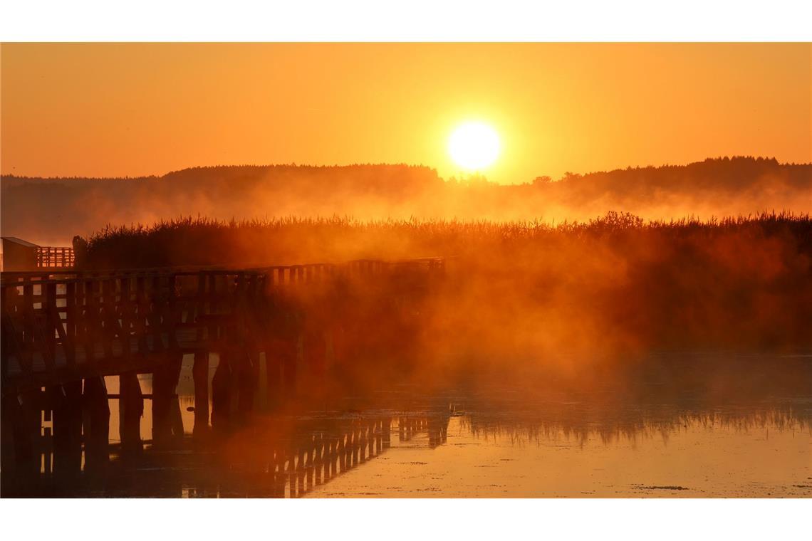 Wunderschöner Sonnenaufgang am Federsee in Baden-Württemberg.