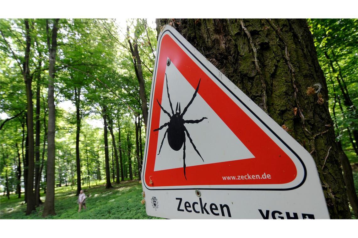 Zahlreiche Gebiete in Deutschland sind FSME-Risikogebiete. (Archivbild)