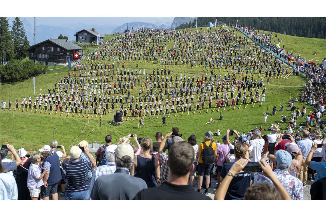 Zuschauer verfolgten das Spektakel auf der Alpwiese.